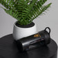 THE 'MANE' MIXER - BLACK THE PRIDE